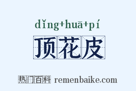 顶花皮是什么意思的图片
